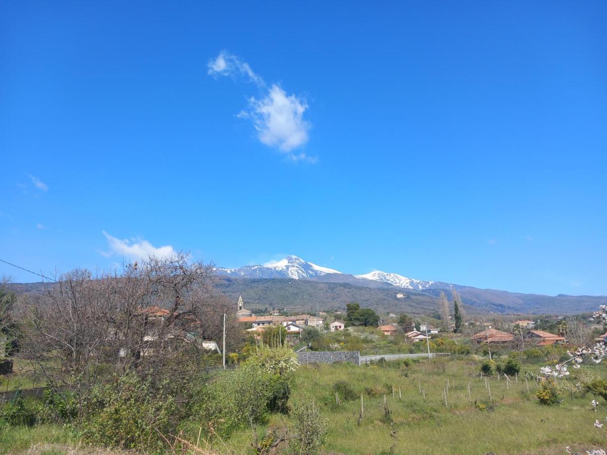 Etna Green House Villa Zafferana Etnea Exterior foto